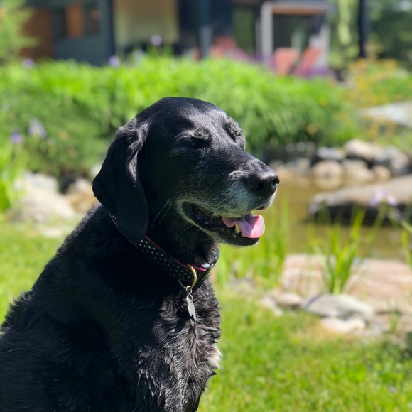 Meet your Posher, Rachel - Picture 1 of 1